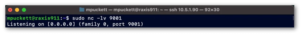 Attacker’s Netcat Listener on Port 9001