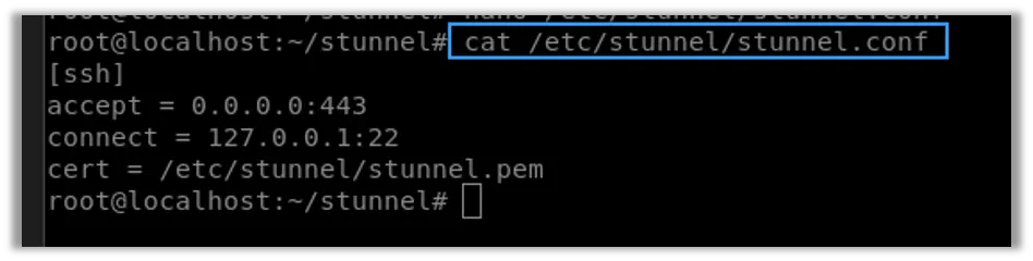 Configuring the Stunnel Service Parameters