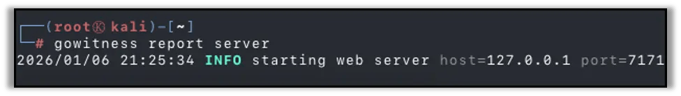 Starting the Report Server