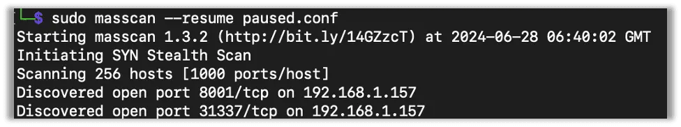 Resuming a paused masscan