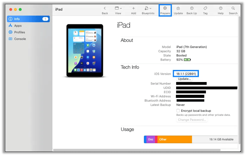 The iPad's info