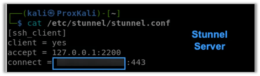 Setting up the Stunnel Configuration File on the Client