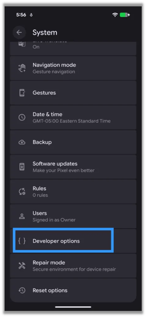 Developer Options Menu Item