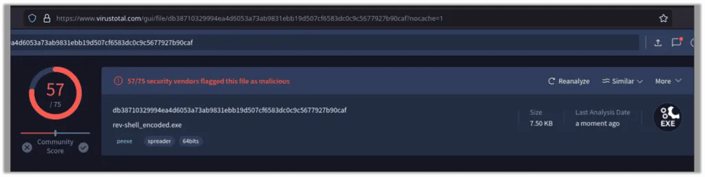 VirusTotal results are 64