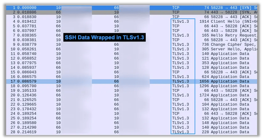 SSH Data Wrapped in TLSv1.3