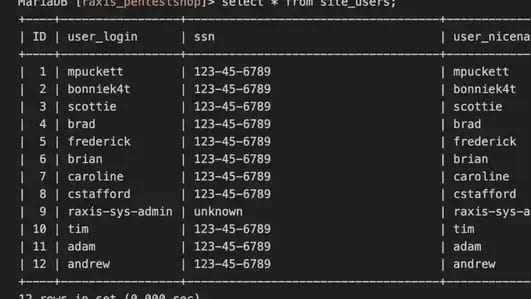 A query against a customer database returning logins and SSNs