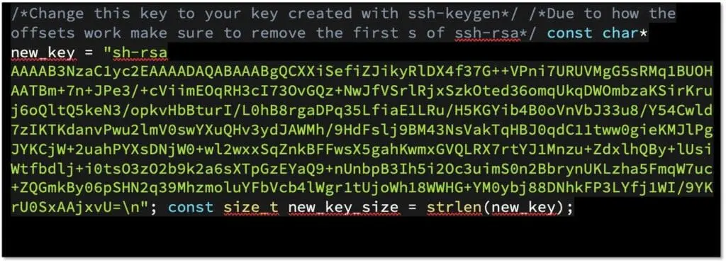 Adding The ssh key to the exploit code