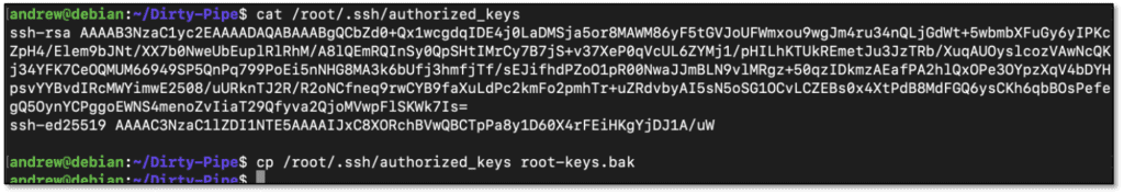 Reading and backing up root’s authorized keys