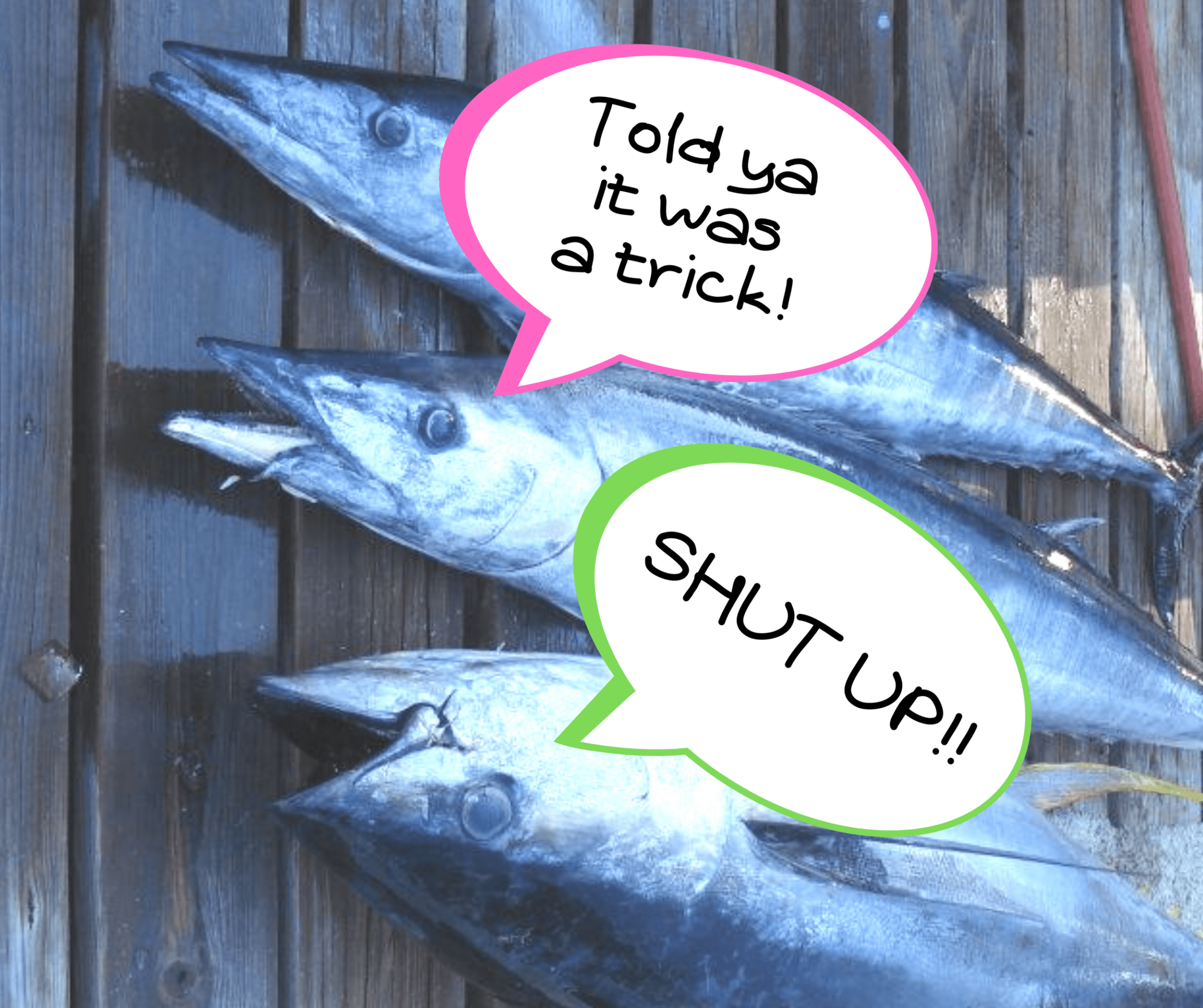 Dead fish saying "Told ya it was a trick!" and "Shut up!"