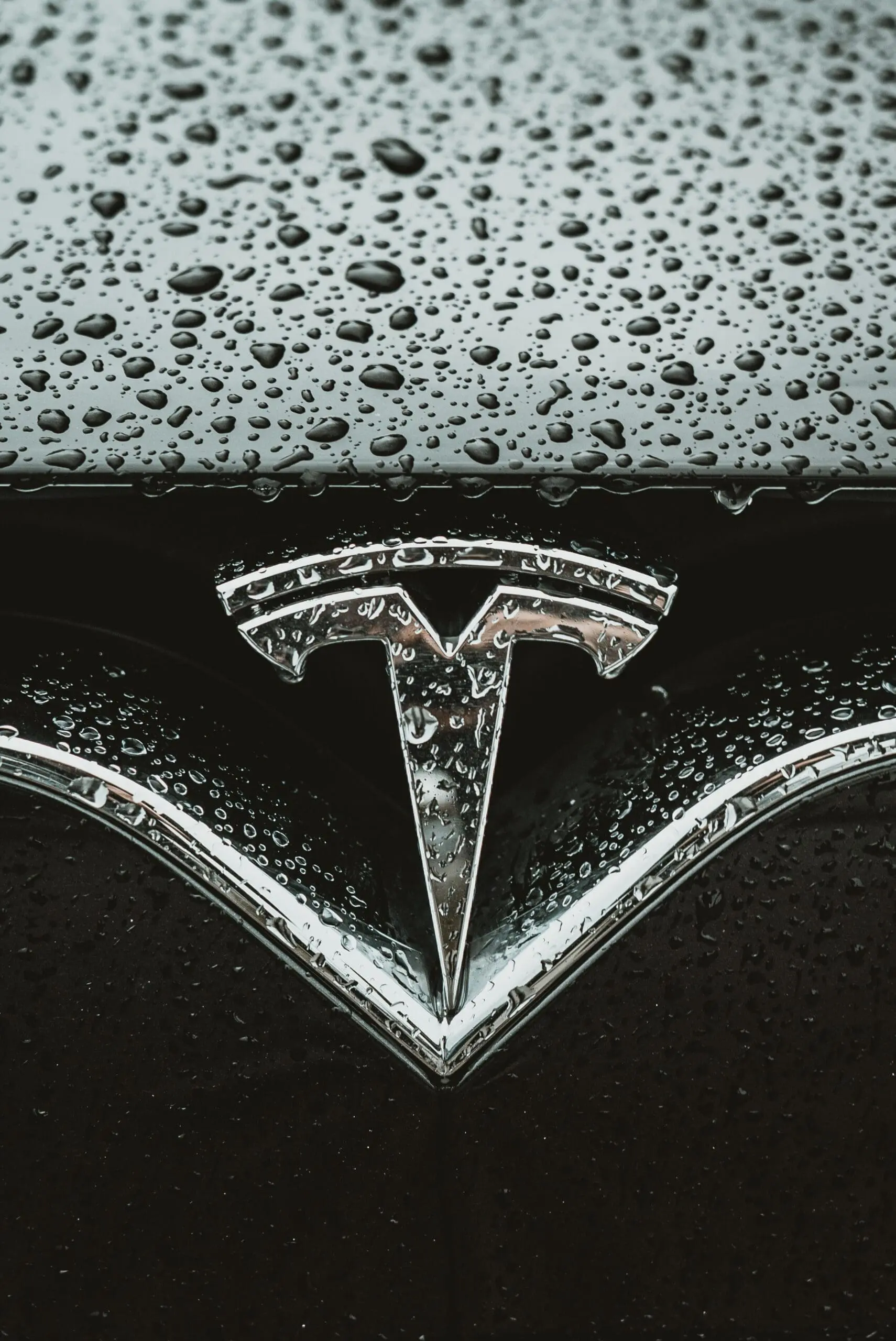 Tesla symbol on wet car