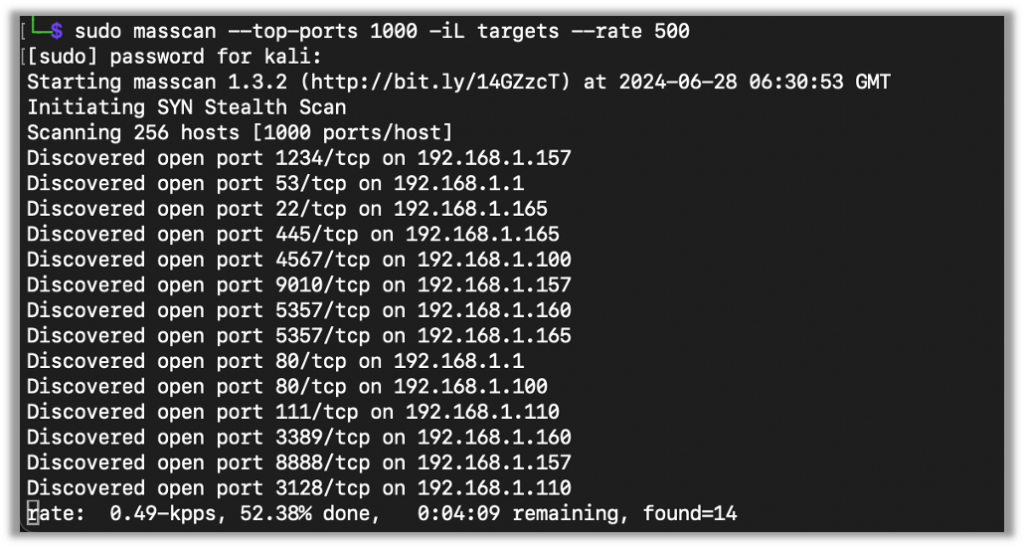 Basic discovery masscan command