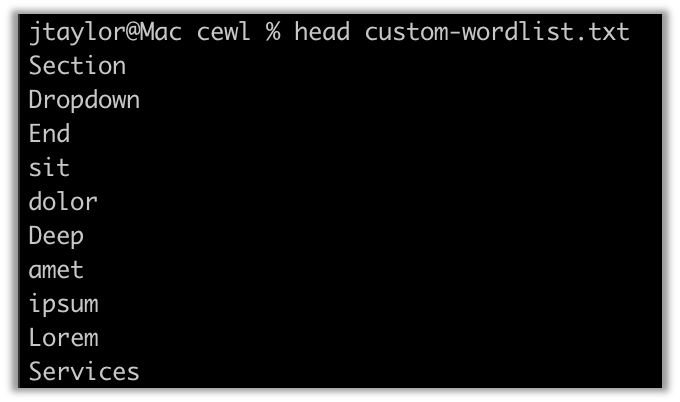 Custom wordlist CeWL creating using our website