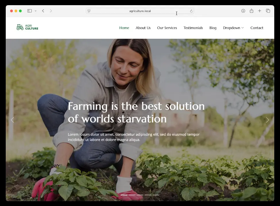 Sample local website for our test