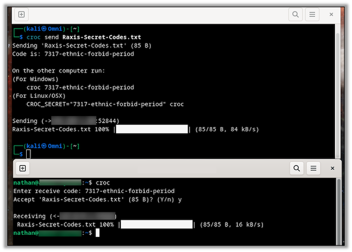 Sending and receiving a file using croc.