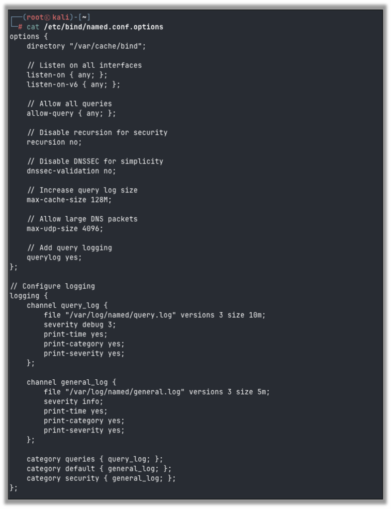 Editing /etc/bind/named.conf.options