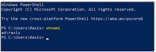 Seeing the Raxis user from the Ad.lab domain