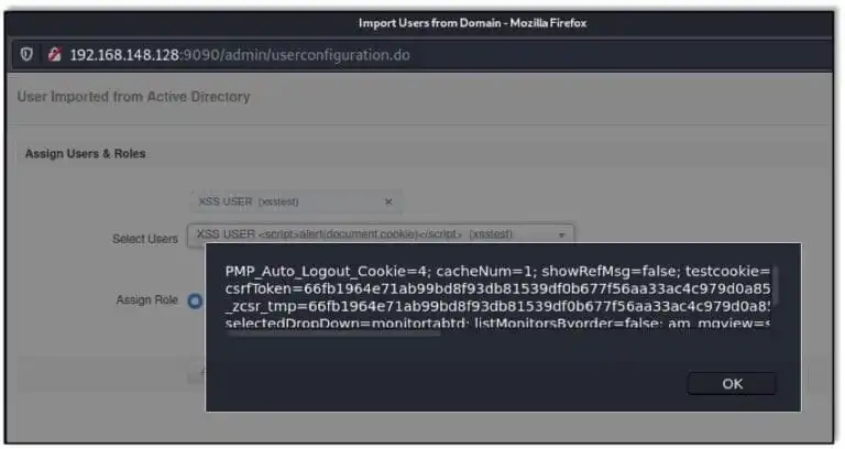 JavaScript Execution to Display User's Cookie in an Alert Box