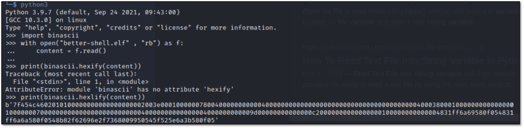 Getting the hexdump of the new elf file