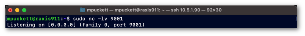 Attacker’s Netcat Listener on Port 9001