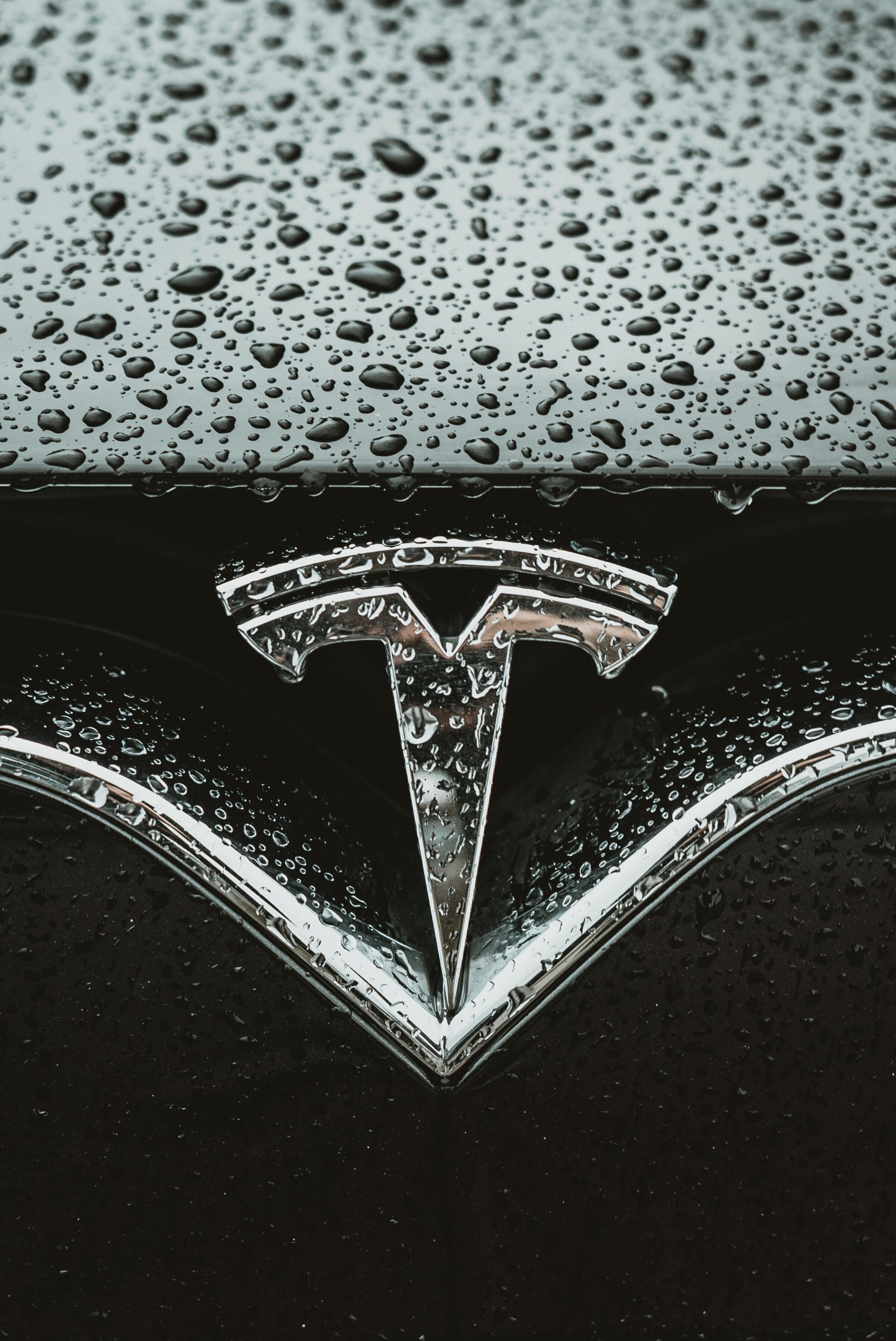 Tesla symbol on wet car