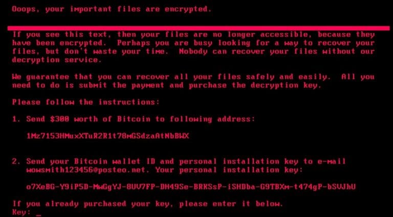 Petya ransonware screen capture