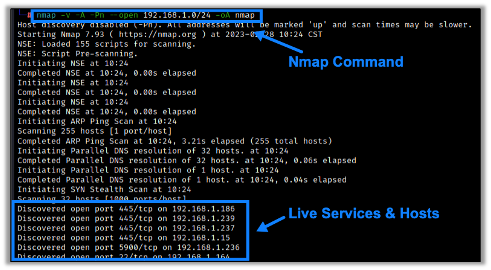 Nmap Discovery Scan