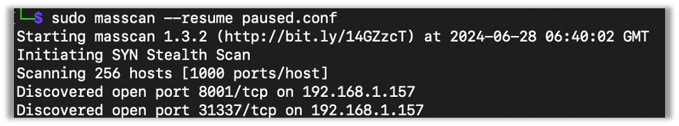 Resuming a paused masscan