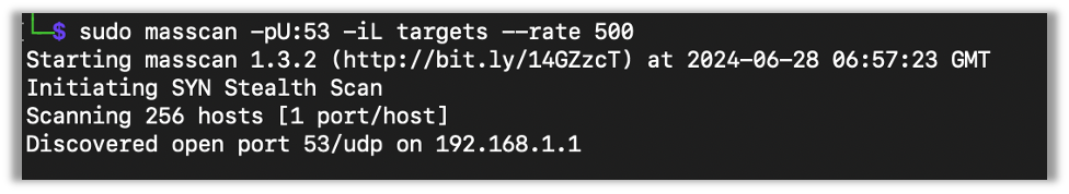 Scanning UDP services with masscan