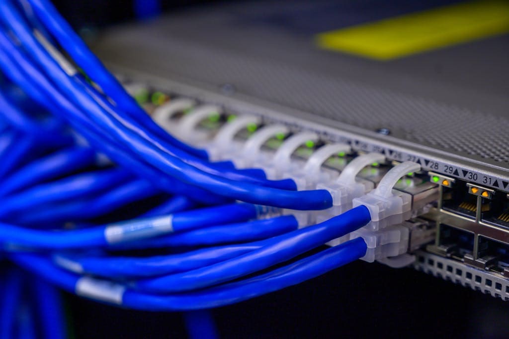 Detailed view of blue ethernet cables connected to a network switch in a data center.