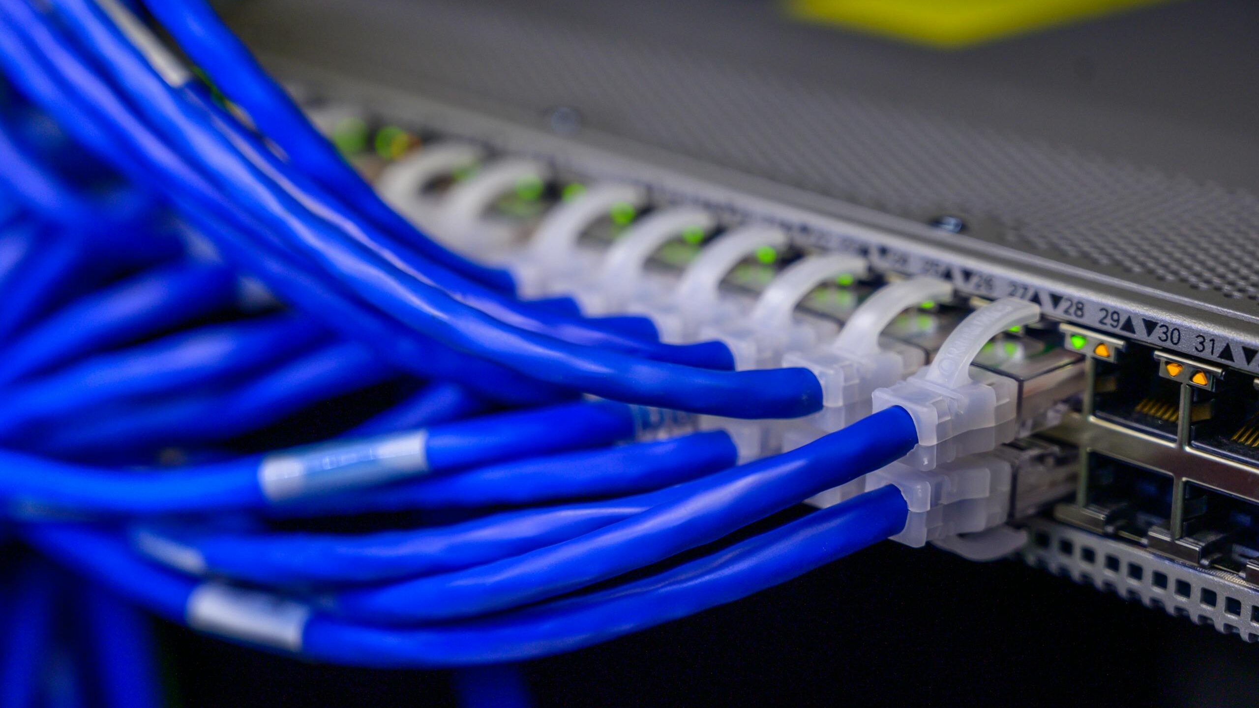 Detailed view of blue ethernet cables connected to a network switch in a data center.