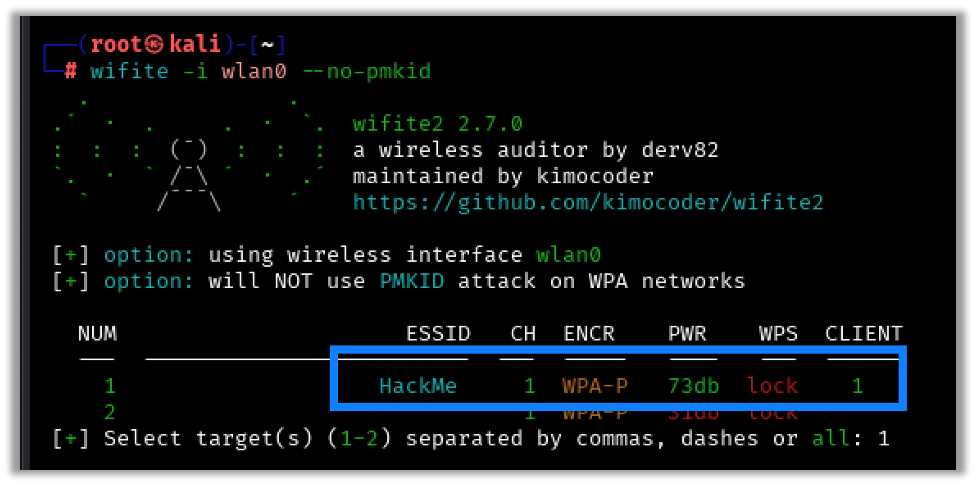 Wireless Networks