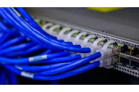 Blue wires plugged into a network switch