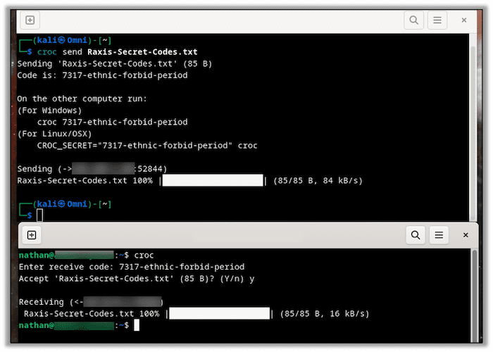 Sending and receiving a file using croc.