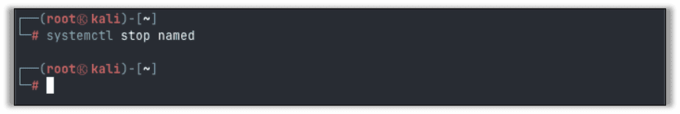 Stopping the BIND server on our Kali server