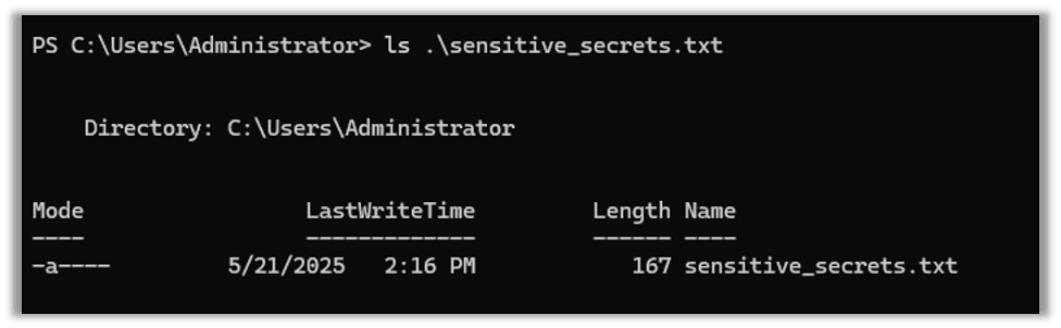 A sensitive file we want to exfiltrate