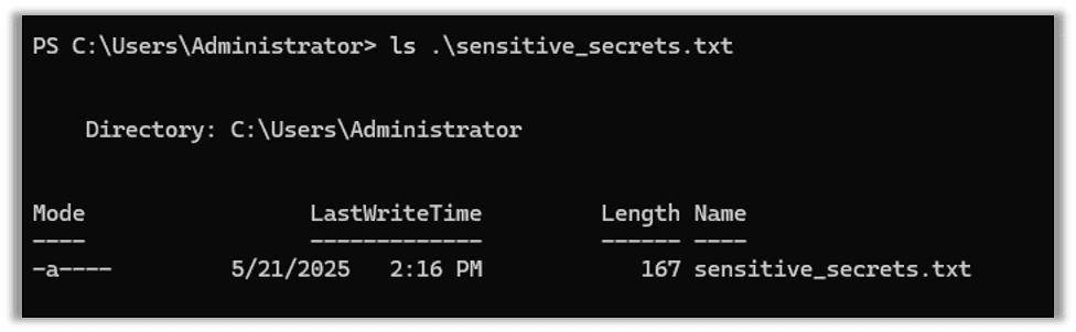 A sensitive file we want to exfiltrate