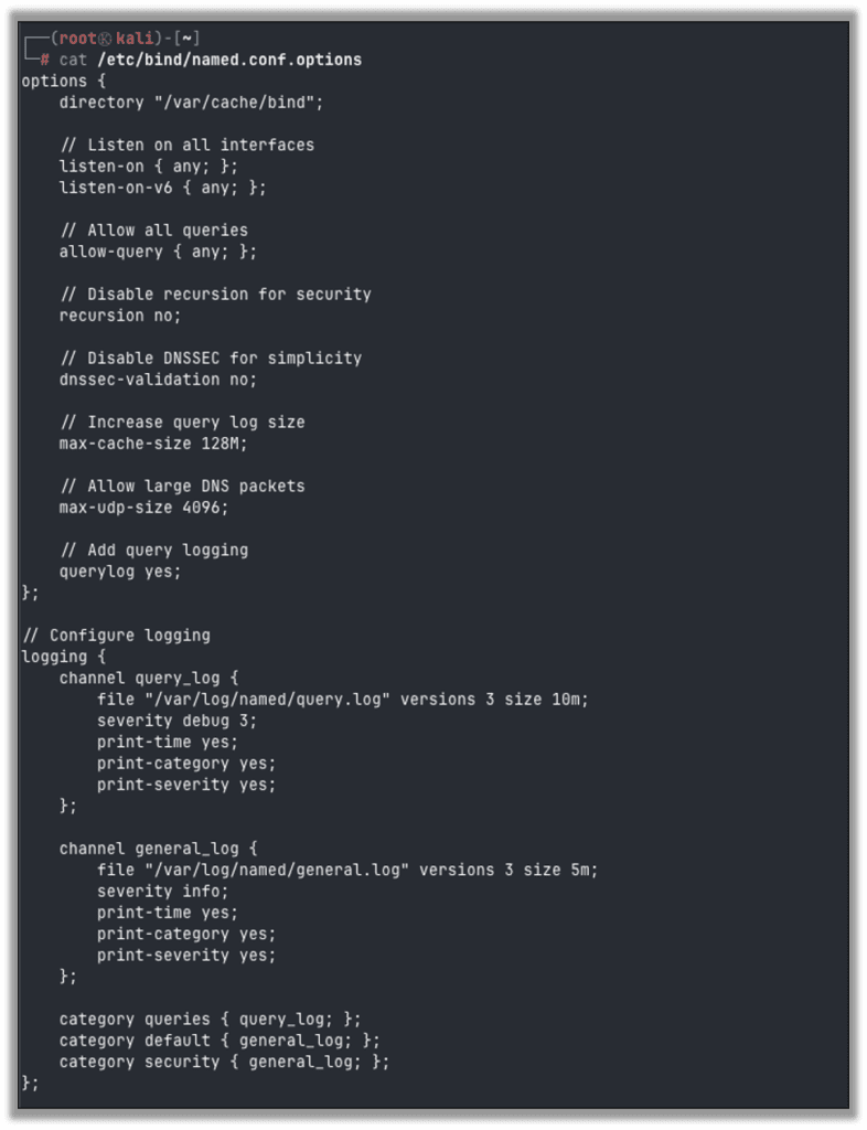 Editing /etc/bind/named.conf.options