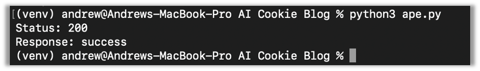 Using Venv with Python