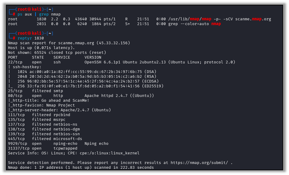 Using Reptyr to place an nmap process in a new screen