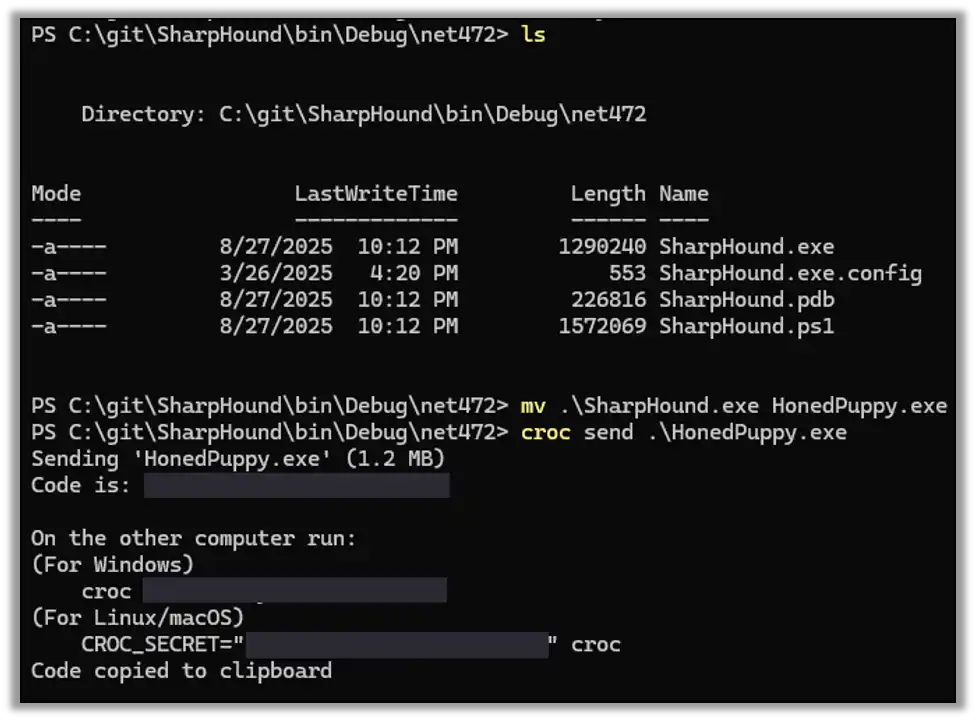 Transferring the File with Croc