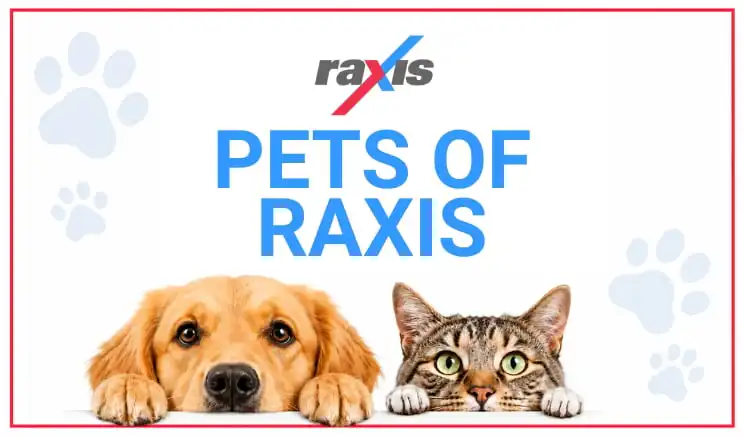 Meet the Pets of Raxis