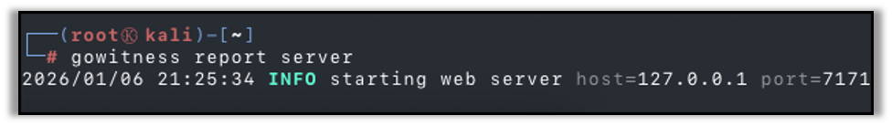 Starting the Report Server