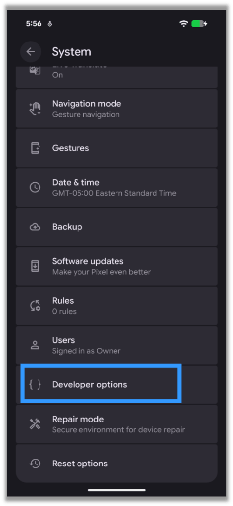 Developer Options Menu Item